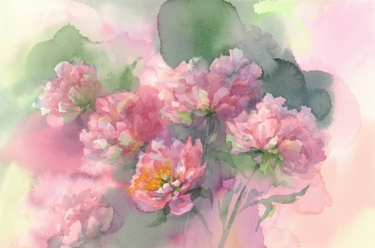 rose light peonies watercolor background