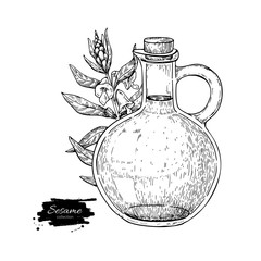 Bottle of sesame oil with plant. Vector Hand drawn illustration.