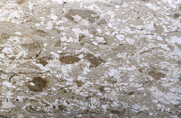 Natural marble textures brown color. Stone surface background