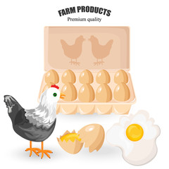 Free range eggs Vector. Bunch of eggs and chicken