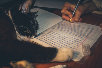Toned image of writing girl's hand and black and white cat sleeping on notebook.
