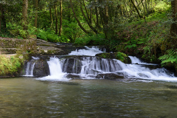 Fototapeta na wymiar waterfall on a forest river