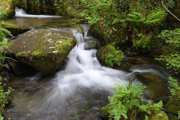 waterfall on a forest river