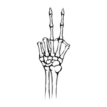 Hand of the skeleton with raised up forefinger and middle finger. Peace gesture or symbol. Hand drawn human hand with bones isolated on white background. Vintage grunge technique
