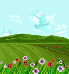 Green fields Vector. Spring background decor