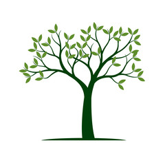 Obraz premium Green Spring Tree. Vector Illustration.