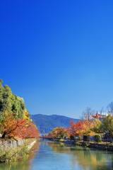 Fototapeta na wymiar 京都　岡崎　秋の琵琶湖疏水