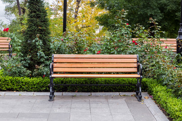 the wooden bench  in the park.