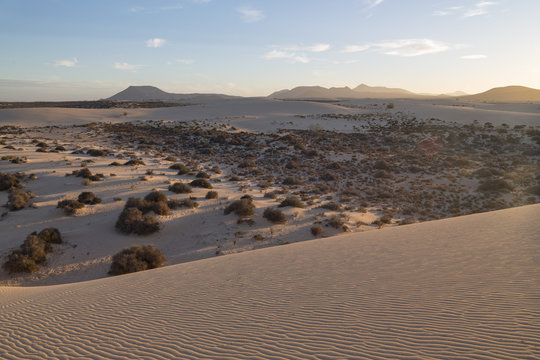 The dramatic Dunas de Corralejo in evening light on the volcanic island of Fuerteventura with mountains beyond, Fuerteventura, Canary Islands, Spain, Atlantic