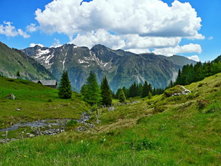Austrian Alps-outlook from the lake Wirpitchsee