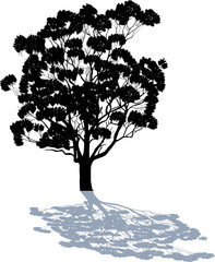 black tree with shadow and curved branches