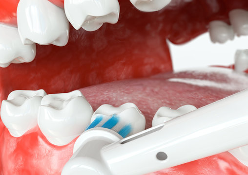Tooth cleaning external surfaces - 3D Rendering
