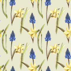 Hand painted watercolor floral pattern seamless blue grape hyacinth yellow daffodils narcissus light yellow background - 203384801