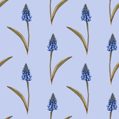 Hand painted watercolor floral pattern seamless blue grape hyacinth blue background - 203384808