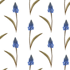 Hand painted watercolor floral pattern seamless blue grape hyacinth blue background - 203384809