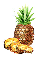 Pineapple. Watercolor hand drawn illustration,  isolated on white background
