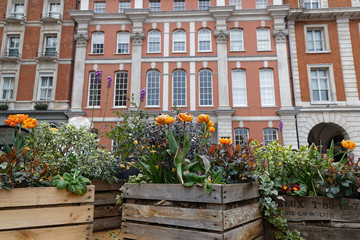 Fototapeta na wymiar Flowers in Covent Garden