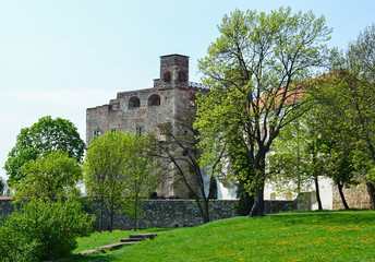 Fototapeta na wymiar Old ruins of the Sarospatak fortress