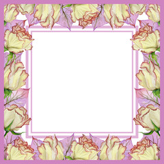 Beautiful spring border made of fresh rose flowers and leaves with veins. Square pink frame with white background for a text. Watercolor painting.