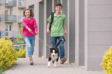Cute children - happy teen boy and girl playing with puppy Australian Shepherd dog, outdoors. Friendship and care concept.