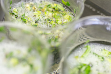 Finding parasites in Vegetable in laboratory.