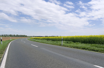 Hohenkirchen / Germany: Curved two-lane country road along the border between the states of Saxony-Anhalt and Thuringia