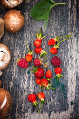 Mushrooms and berries on an table