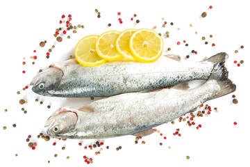 river trout isolated on white background
