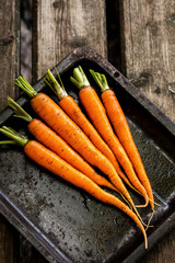 juicy carrots on a metal baking sheet