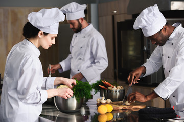 Multiracial team of cooks cooking by kitchen stove in restaurant