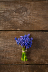 muscari spring flowers on wooden surface