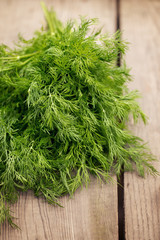 green dill top view