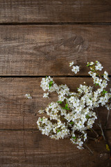 spring blossoms on wooden surface