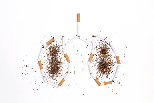 Broken cigarettes and tobacco in the form of lungs on white background. No smoking concept.