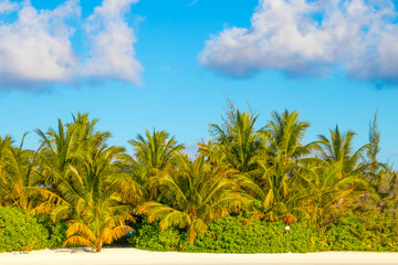 Fototapeta premium Tropical beach
