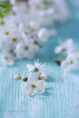 Fototapeta na wymiar spring blossoms on wooden surface