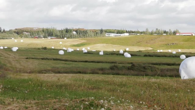 Iceland - beautiful green agricultural landscape with fields, meadows, baled silage, hay, green grass, blue sky and clouds. Summer day, August. Selective focus. Slow pan.