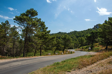 Fototapeta na wymiar Road crossing forest and rock formations with blue and sunny sky, near the village of Baux-de-Provence. Bouches-du-Rhone department, Provence-Alpes-Côte d'Azur region, in southeastern France