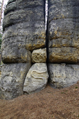 Bizarre Sandrock In The Forest