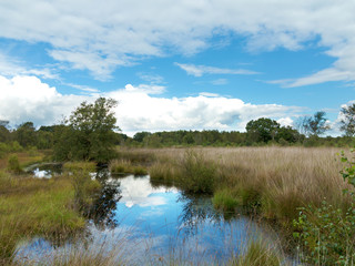 Naturschutzgebiet Hochmoor "Fockbeker Moor" in Schleswig-Holstein