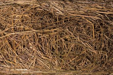 straw, hay, grass, dry, texture,backgrounds, crop