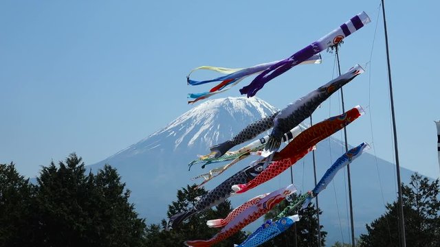 富士山と鯉のぼり・4K