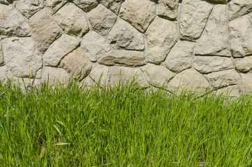 Green grass and a stone wall background