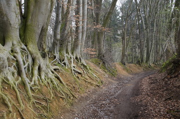 Aachen Paulinenwäldchen 3