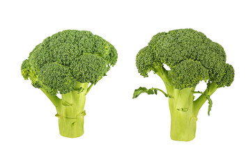 Broccoli isolated on white background - 203405867