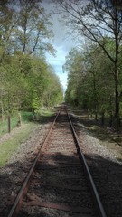 Fototapeta premium Bahnstrecke durch den Stadtwald Neumünster