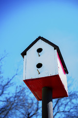 Birdhouse on post