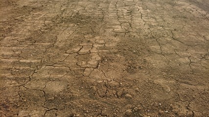 dry ground background texture