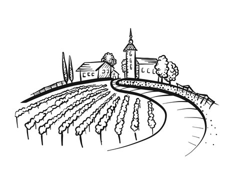 Vineyard Drawing with path and houses on hill