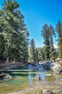 Betab Valley, Pahalgam